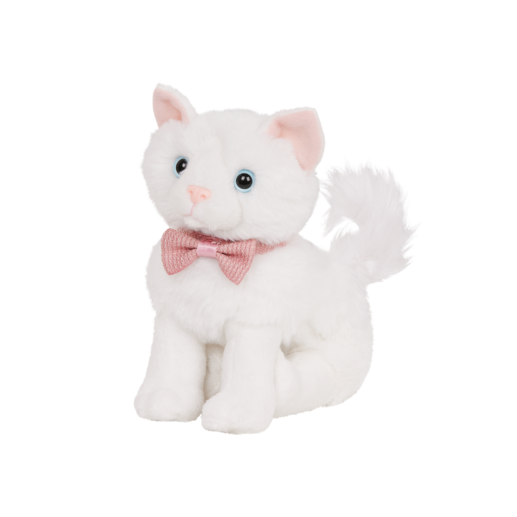 Turkish Angora Kitten