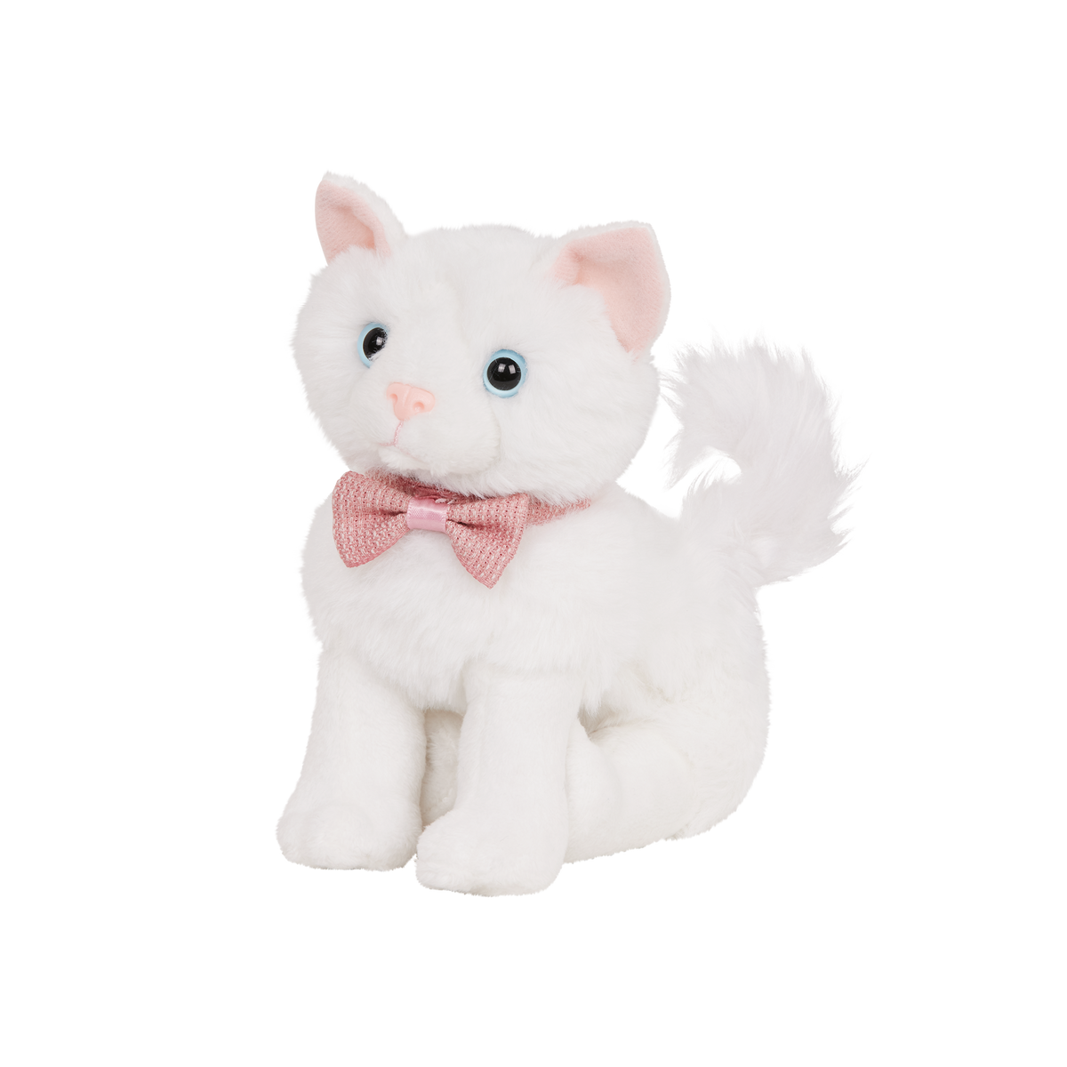 Turkish Angora Kitten