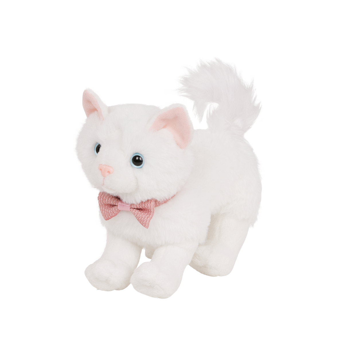 Turkish Angora Kitten