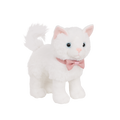 Turkish Angora Kitten