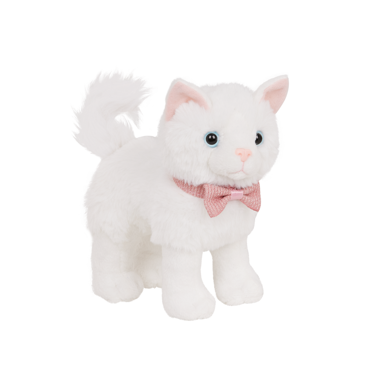 Turkish Angora Kitten