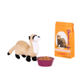 Pet Ferret Set